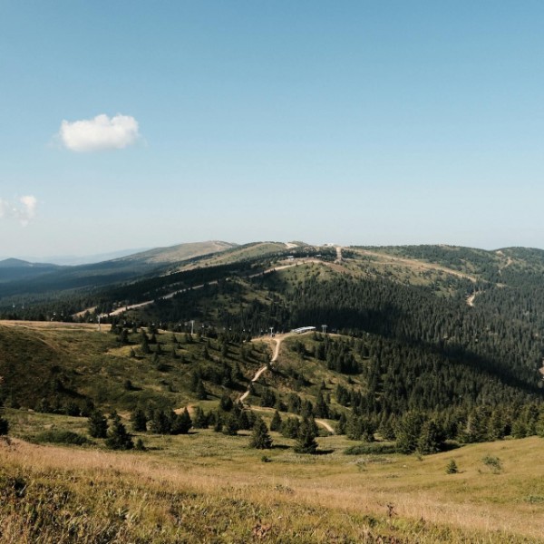 19th National Congress of the Serbian Pathologists and Cytologists Association